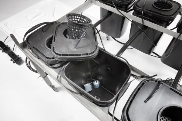 The Plug Model 4 - Image 3